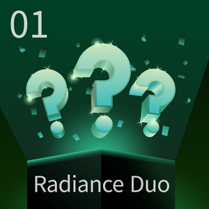 Christmas Mystery Box - Radiance Duo