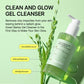 Veganifect Gel-to-Foam Cleanser